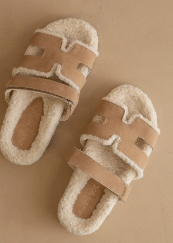 The Alpine Slip Shoe