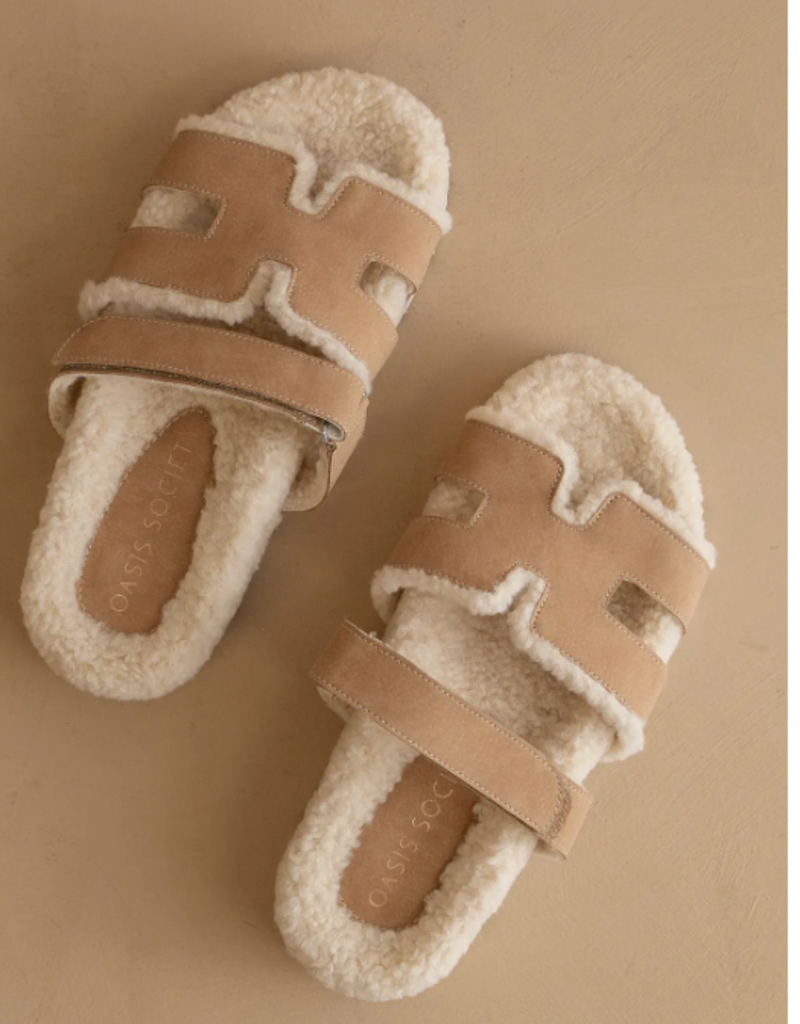 The Alpine Slip Shoe