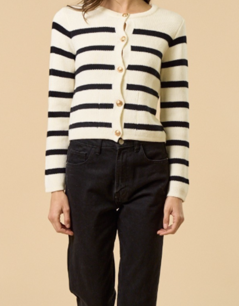Button Down Sweater