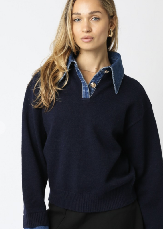 Triana Denim Knit Top