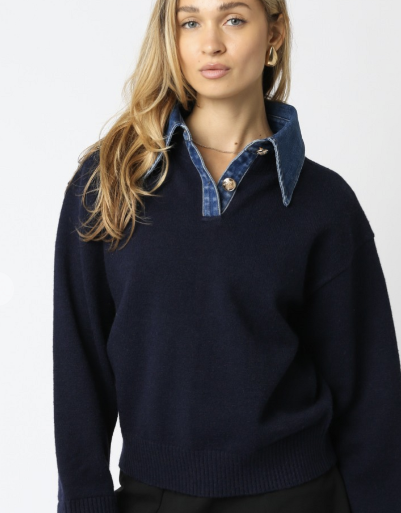 Triana Denim Knit Top