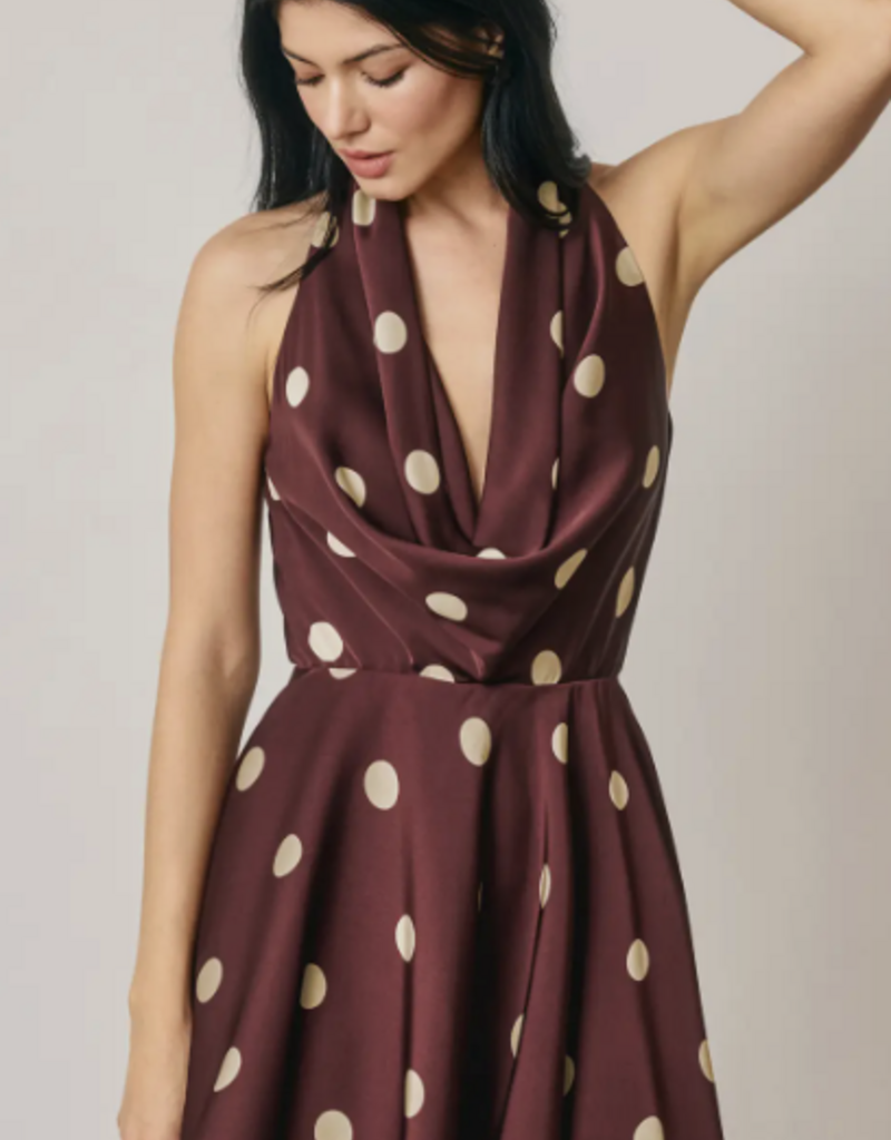 Plum Polkadot Dress