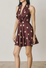 Plum Polkadot Dress