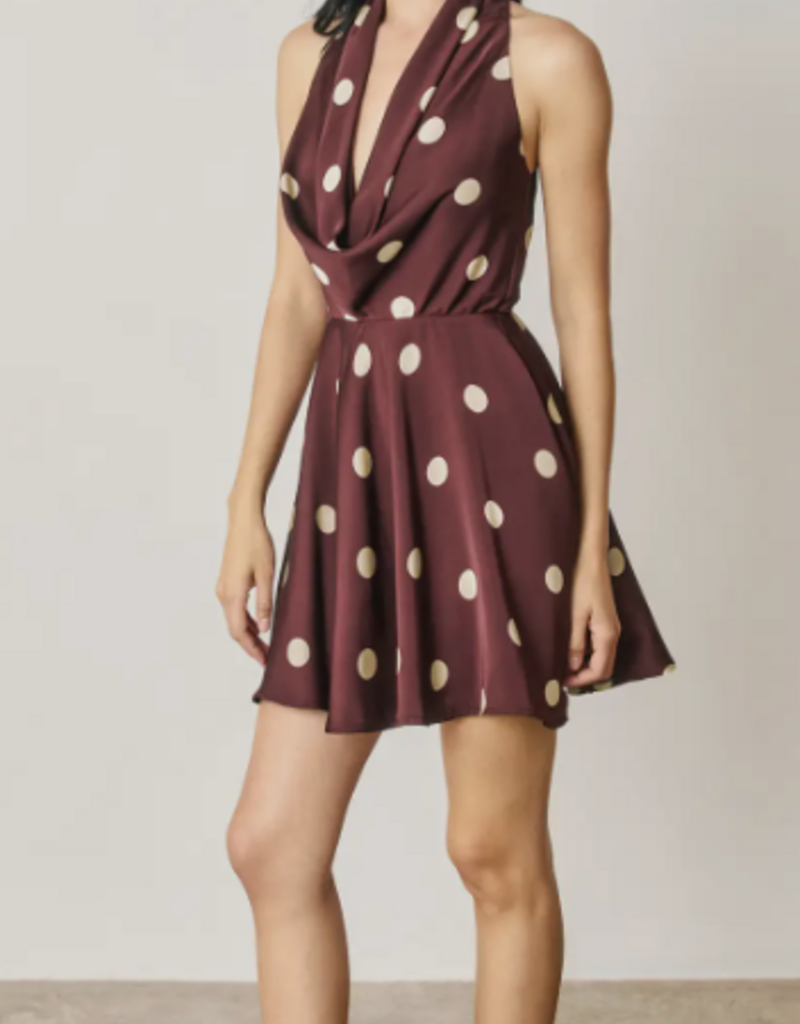 Plum Polkadot Dress