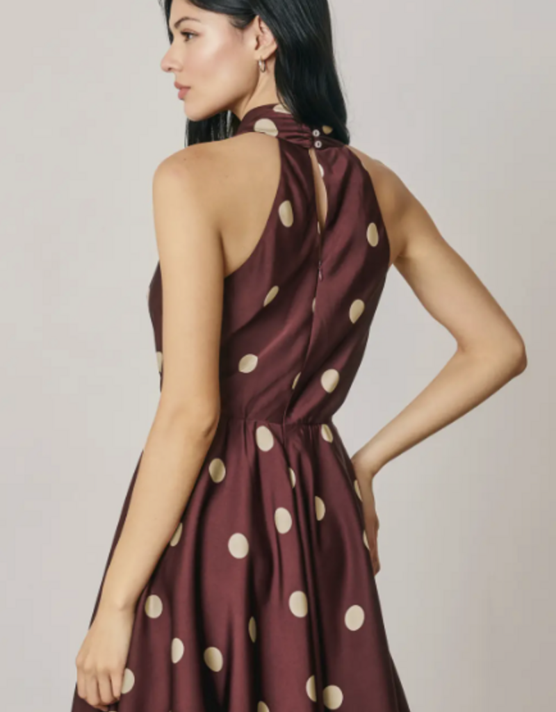 Plum Polkadot Dress