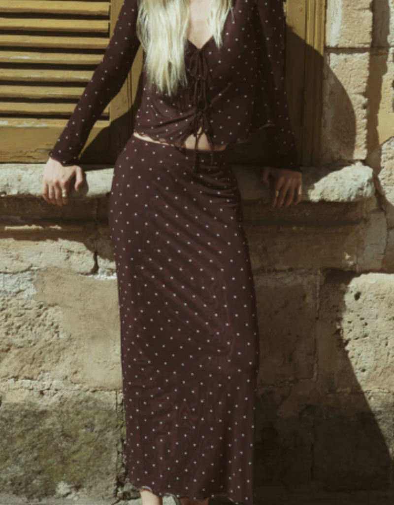 Eda Polka Dot Mesh Midi Skirt