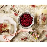 Red Currant & Cranberry Collection