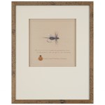 Harrop Flying Ant Fly Print - NL