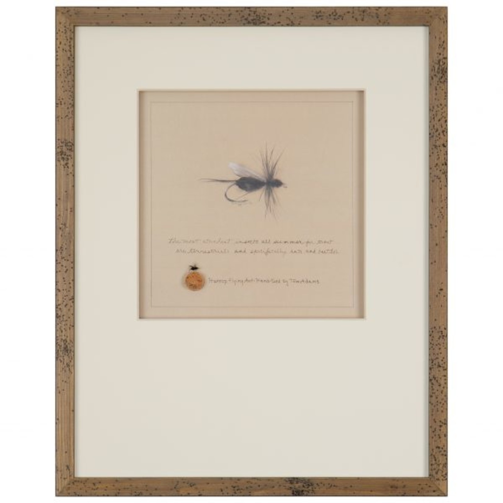 HarropFlying Ant Fly Print - NL