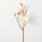 Sullivans Magnolia Blooming Branch - Cream