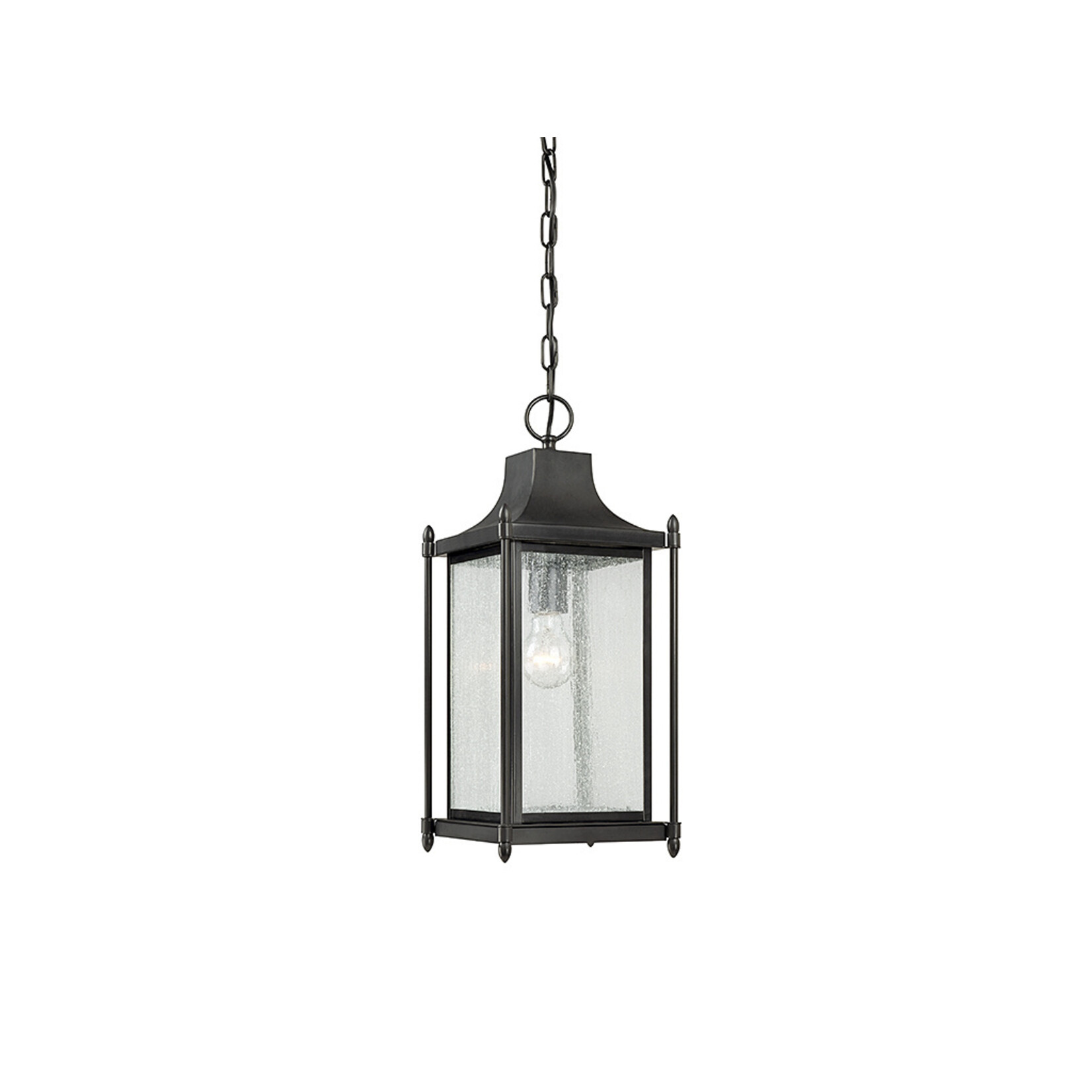 Dunnmore 1 LT Outdoor Hanging Lantern - Black