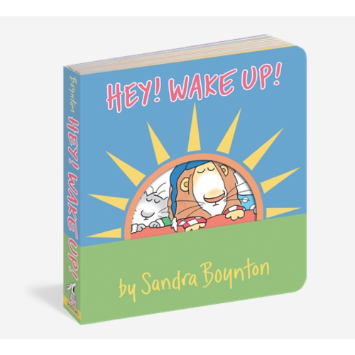 Workman Pub Hey! Wake Up Book Workman Pub Hey! Wake Up Book