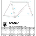 MASH Steel Frameset Raw/Teal Fade