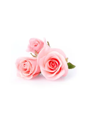 Onesoak Eau florale de rose  OneSoak