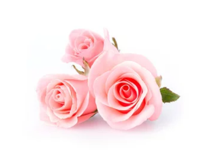 Onesoak Eau florale de rose  OneSoak