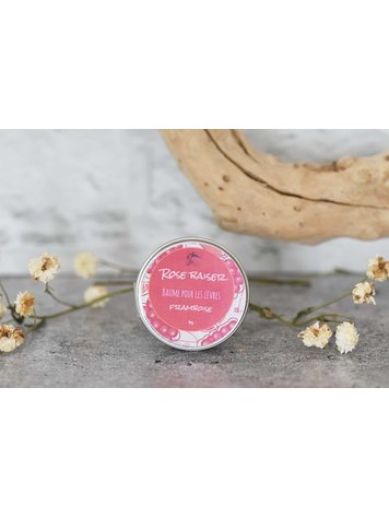 Poussière d'étoile Poussières D'Étoiles Lip Balm
