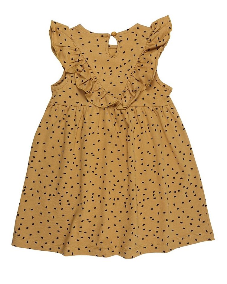 Turtledove Girl's Dress