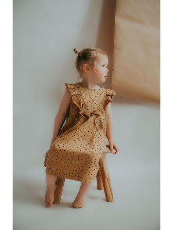Turtledove Girl's Dress