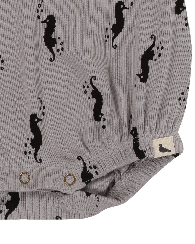 Turtledove Boy's Body