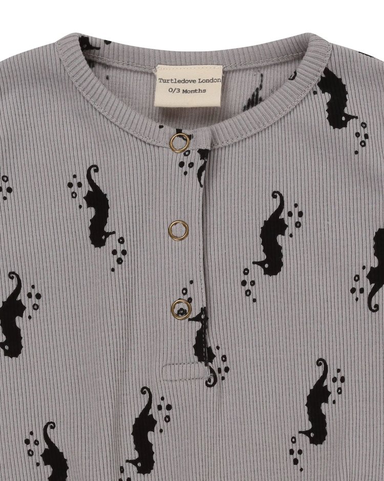 Turtledove Boy's Body