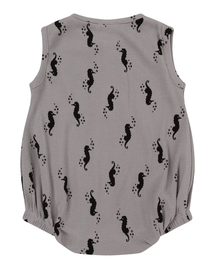 Turtledove Boy's Body