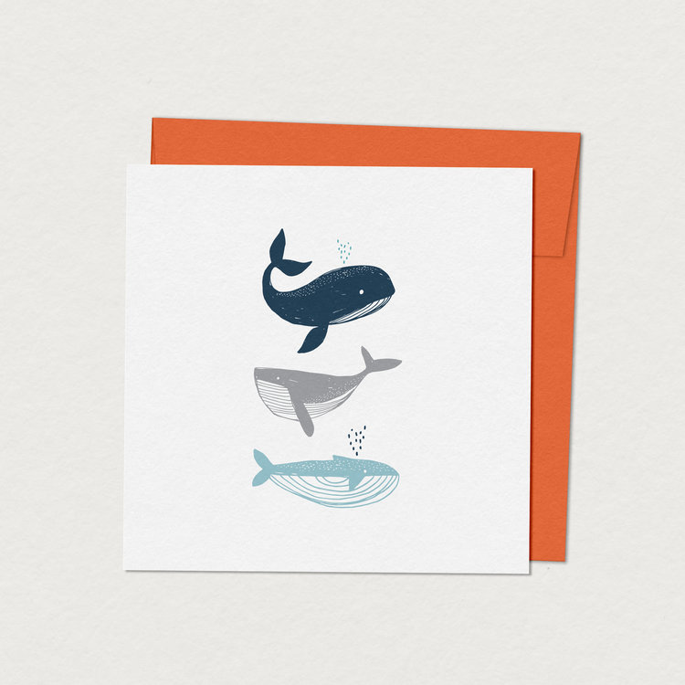 Mimosa Carte De Souhaits Mimosa