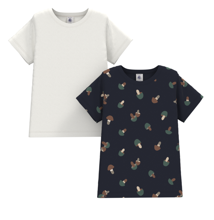 Petit Bateau Petit Bateau Boy's 2 T-Shirts