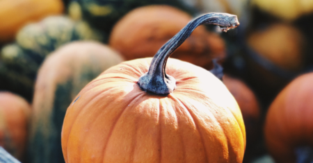Des activités à faire sur la Rive-Nord cet automne