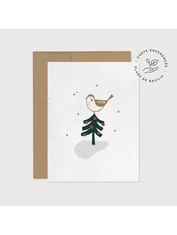 Mimosa Mimosa Wish Card To Plant
