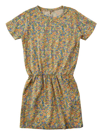 The New Robe Fleuri The New Fille