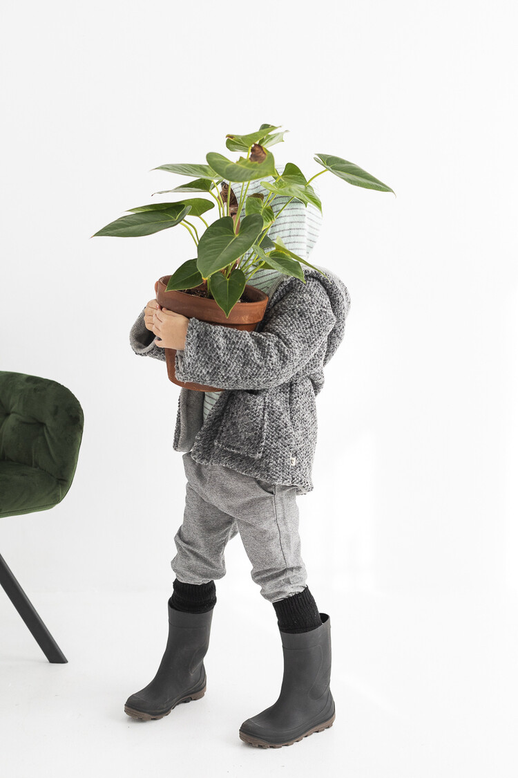 Petit Indi Manteau Petit Indi Garçon