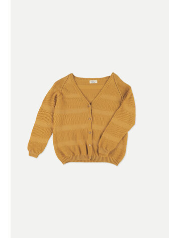 My Little Cozmo My Little Cozmo Boys Cardigan