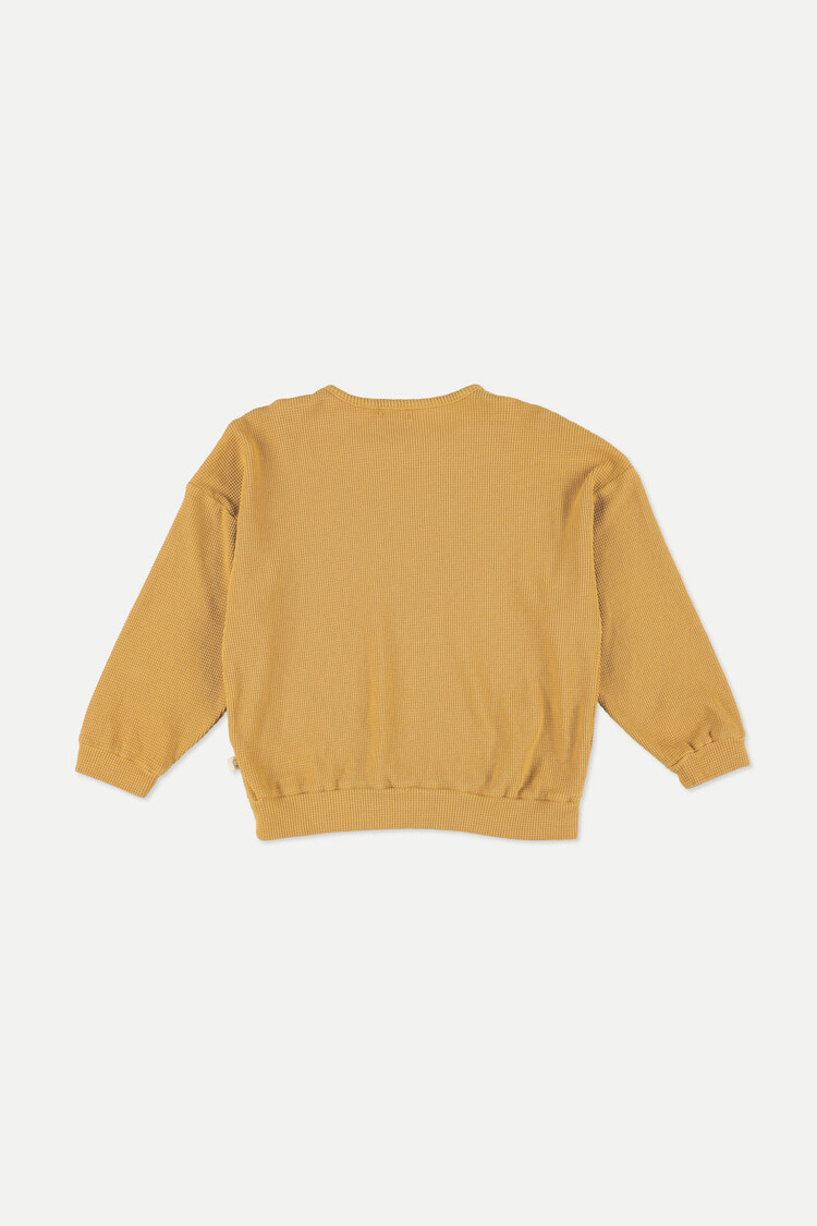 My Little Cozmo My Little Cozmo Boys Sweater