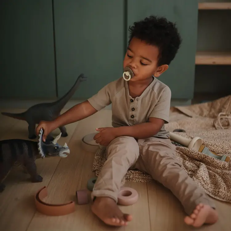 MUSHIE 2 Suces en Silicone FRIGG Daisy Night Mushie