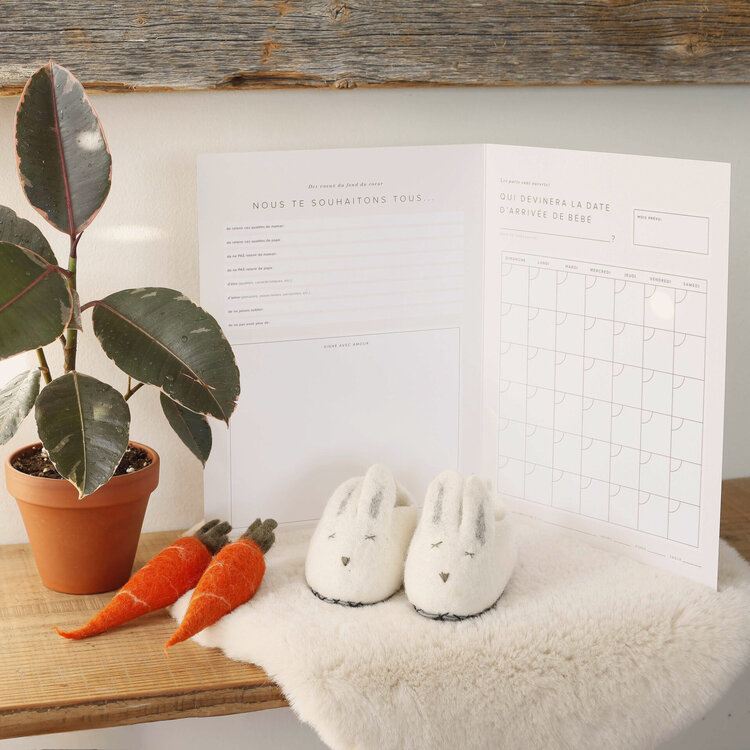 Mimosa Carte Géante 4-en-1 Shower Bébé Mimosa