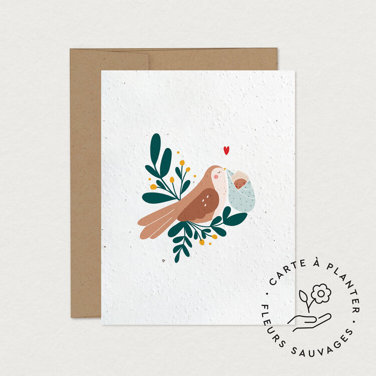 Mimosa Mimosa Wish Card To Plant