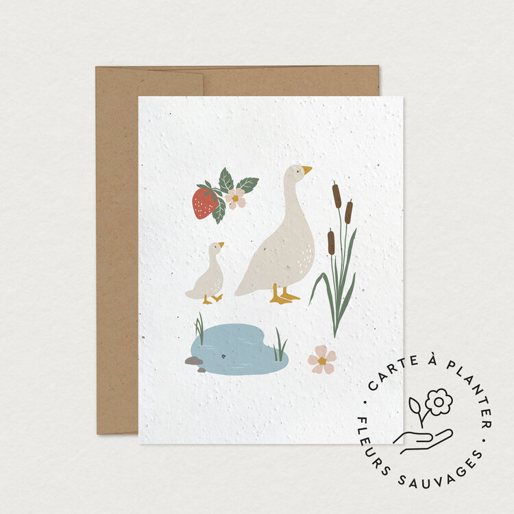 Mimosa Mimosa Wish Card To Plant