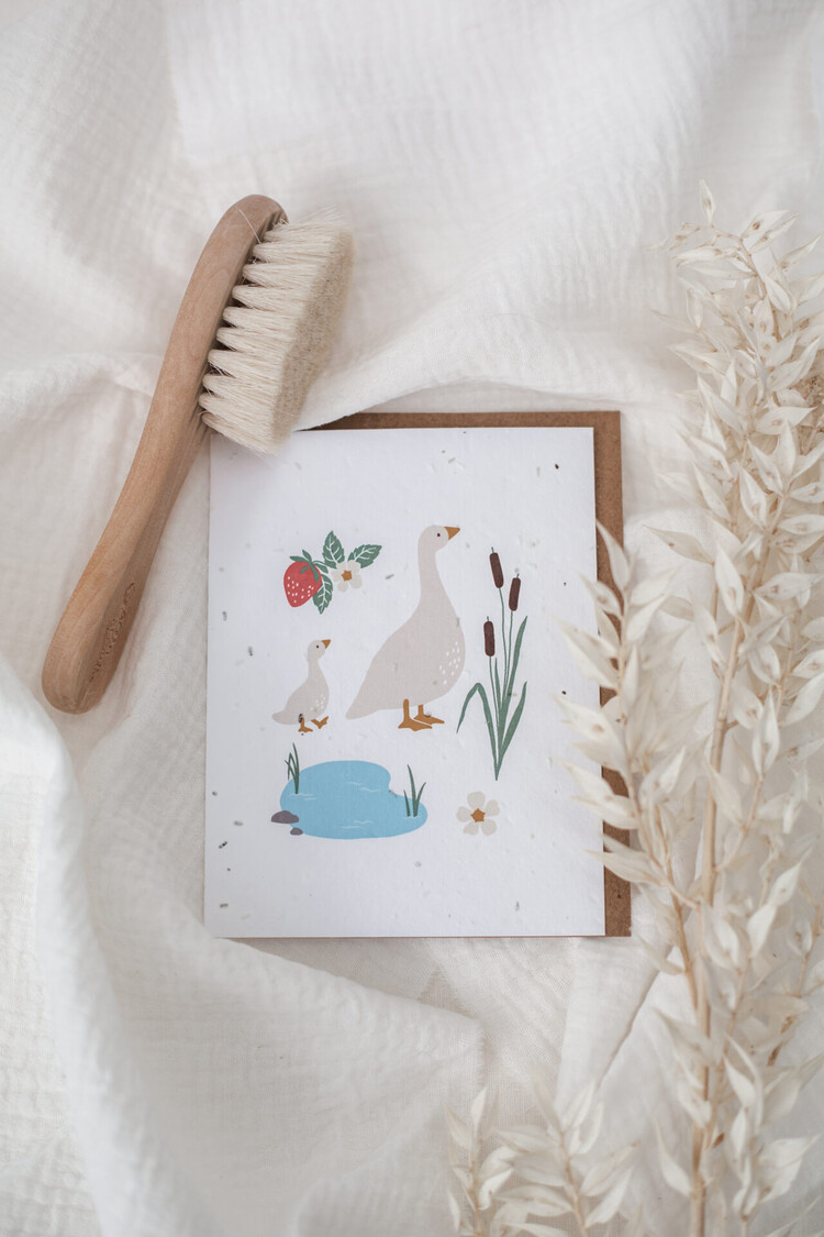 Mimosa Mimosa Wish Card To Plant