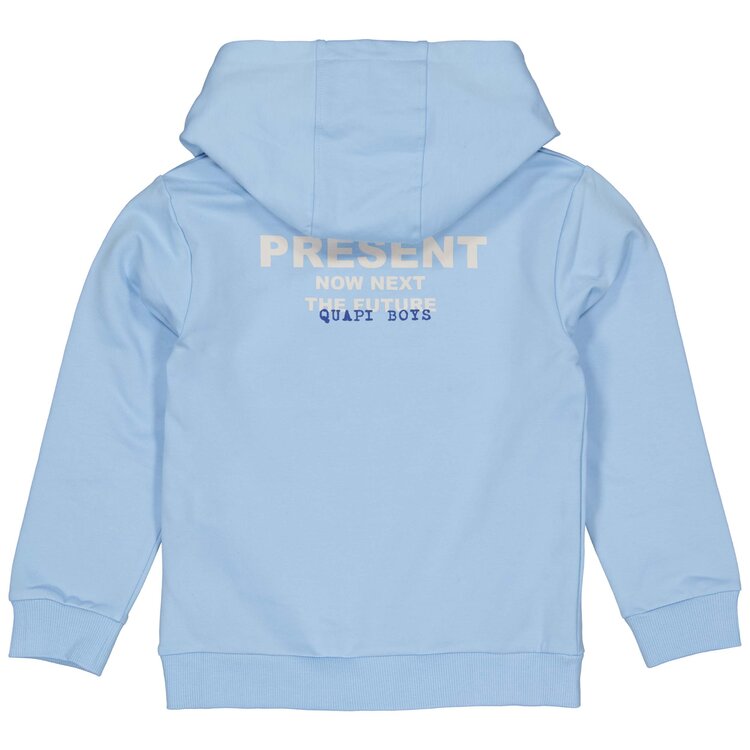 Quapi Kidswear Quapi Kidswear Boys Hoodie