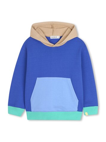 Billieblush Hoodie Billieblush Garcon