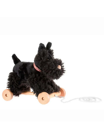 Egmont Toys Walter à Tirer Egmont Toys