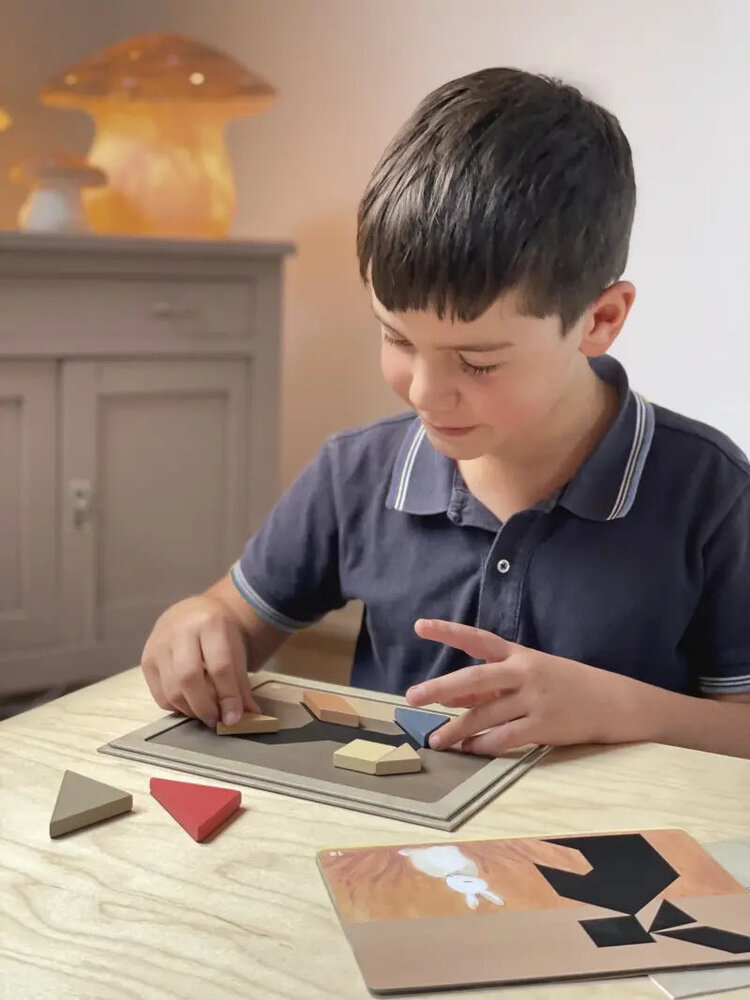 Egmont Toys Egmont Toys Magnetic Tangram