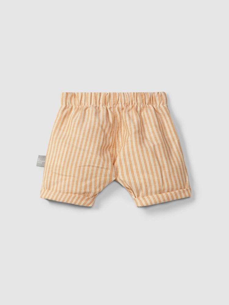 Snug Snug Boys Shorts