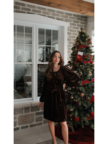 Vine & Love Vine & Love Velvet Dress