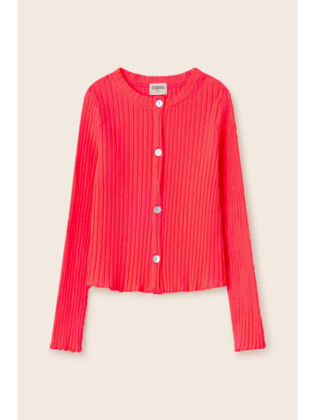 My Little Cozmo My Little Cozmo Girls Top