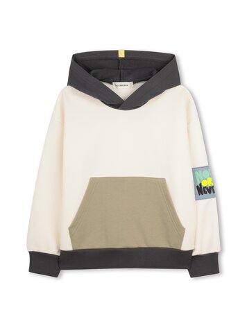 Billieblush Hoodie Billieblush Garçon