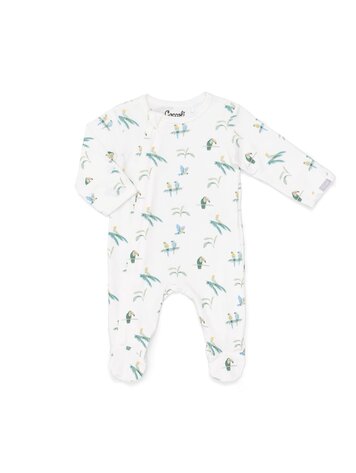 Coccoli Coccoli Boys Pyjamas