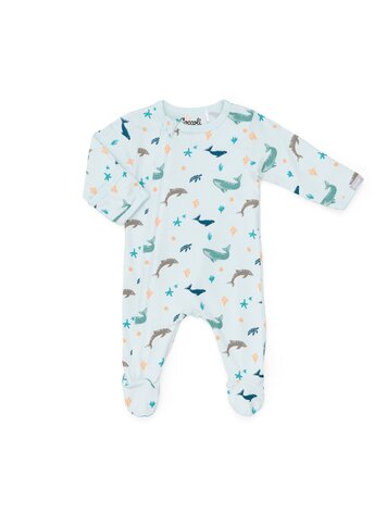 Coccoli Pyjama Coccoli Garçon