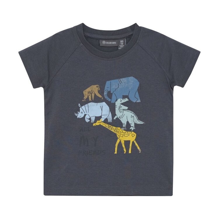 COLOR KIDS T-Shirt Color Kids Garçon