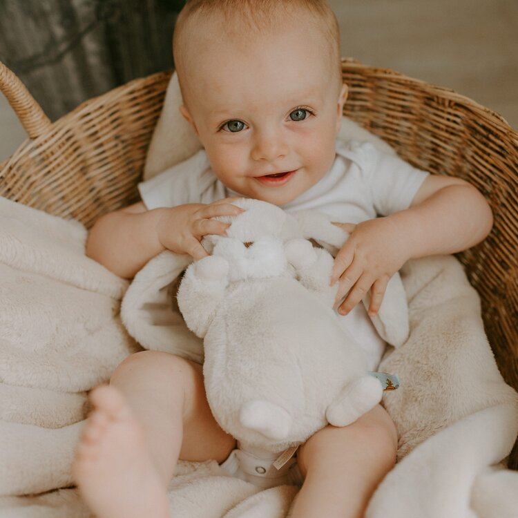 Bunnies by the Bay Bunnies by the Way Tiny Nibble Bunny